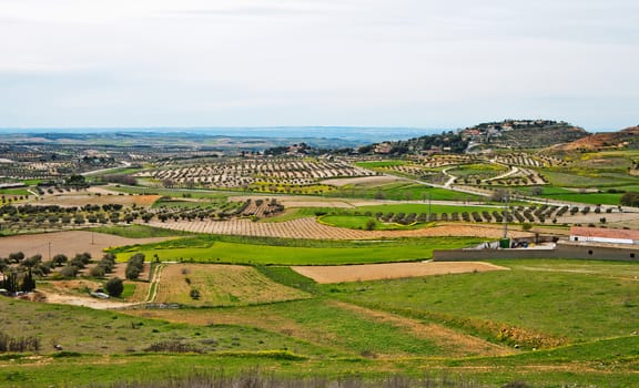  Fields around old town Chinchon in Spain