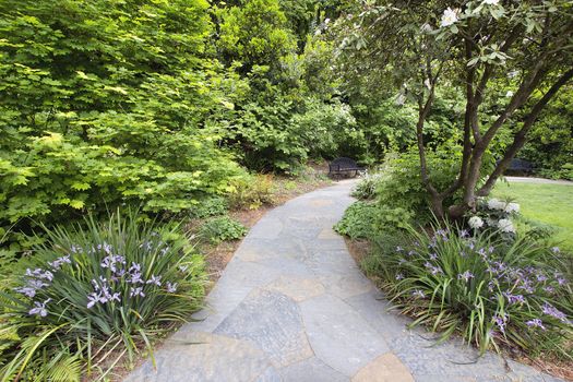 Slate Garden Path Walkway with Flowering Oregon Irises and Trees in Springtime