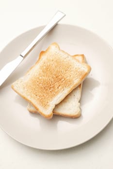Toast on a plate isolated on a kitchen bench