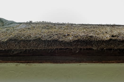 Close-up of a reed roof