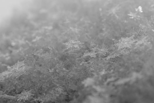 beauty white snowflake crystals on dark background