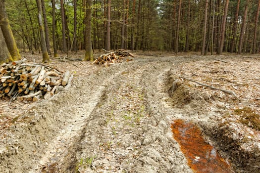 truck double wheel track in the mud