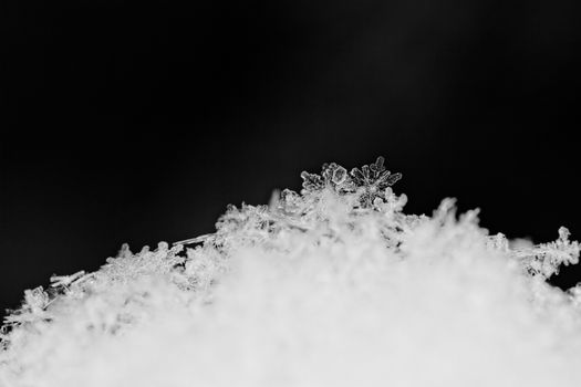 beauty white snowflake crystals on dark background