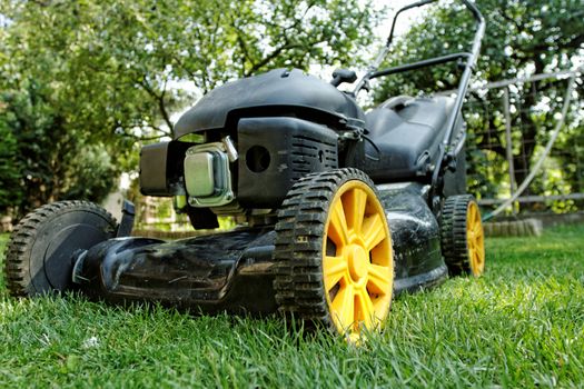 Black lawnmower in the garden lawn the grass with fuel engine