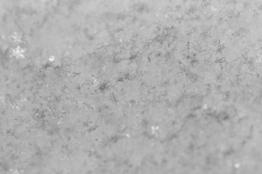 beauty white snowflake crystals on dark background