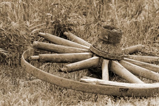 old broken wagon wheel in the field (chariot wheel) sephia