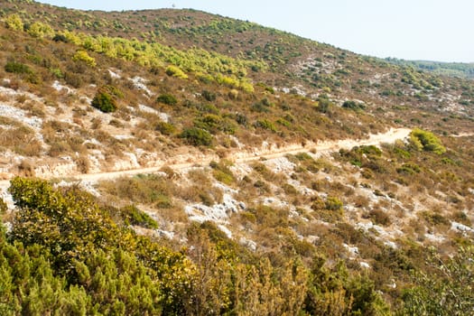 rocky scrubby landscape from vis island (croatia)