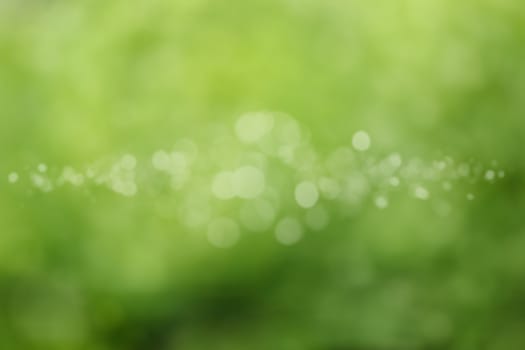 Beautiful abstract green Bokeh in sunny day