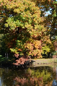 autumn