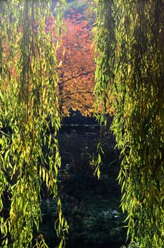 autumn
