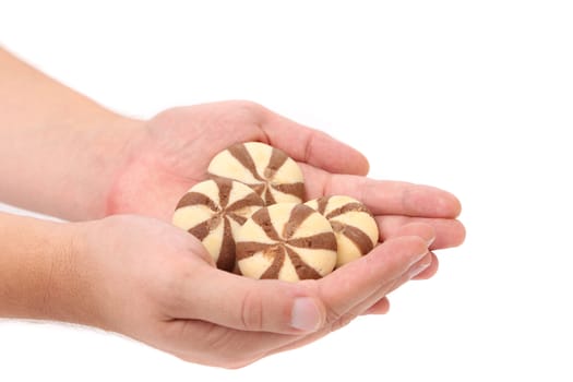 Hand holds biscuits of a chocolate cloves. White background.