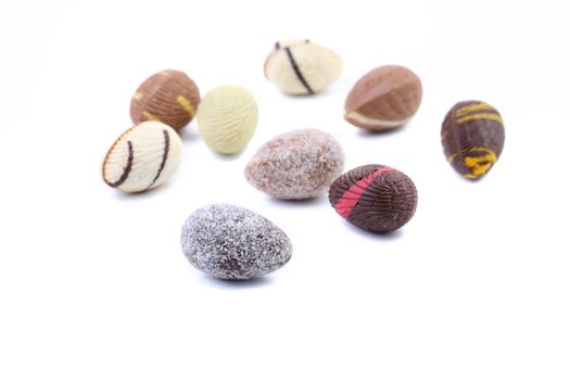 Different chocolate seashells on a white background