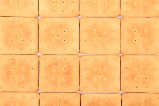 Background of saltine soda cracker. Wclose up.