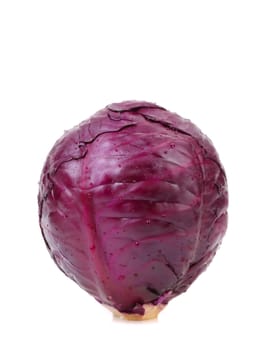 Violet cultivated cabbage isolated on a white background.