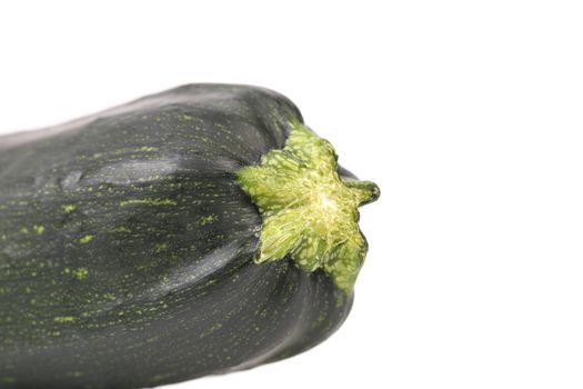 Tail of black eggplant isolated on a white background.
