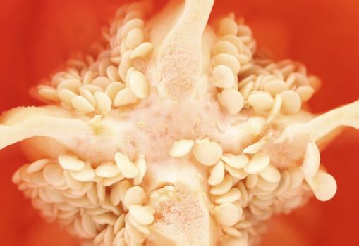 Slice of red pepper. Close up. Whole background.