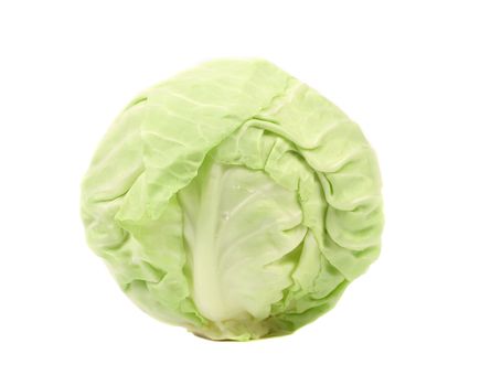 Whole green cabbage isolated on a white background.