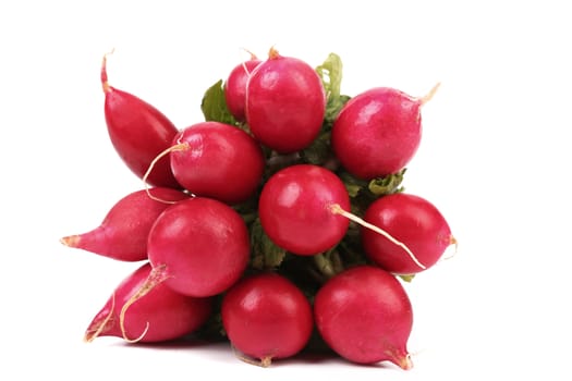 Small garden radish isolated on a white background.