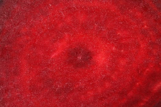 Bacground of beetroot sliced. Macro. Whole background.