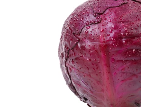 Half red cabbage on a white background.