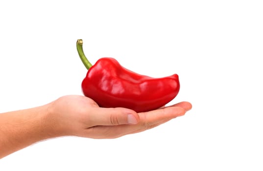 Hand holds red pepper on a white background.