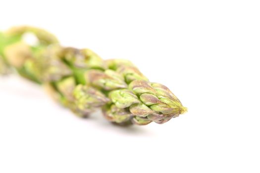 fresh asparagus spear isolated on a white background