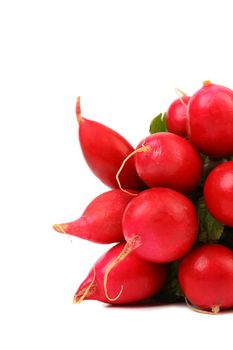 Bunch of radish isolated on a white background