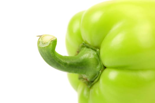 Tail of green pepper on a white background.