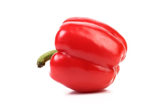 Red pepper with tail on a white background.