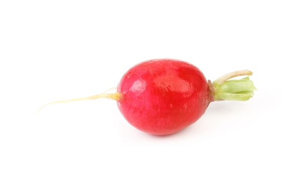 Red radish. Isolated on a white background