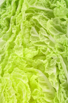 Close up of chenese cabbage. Whole background.