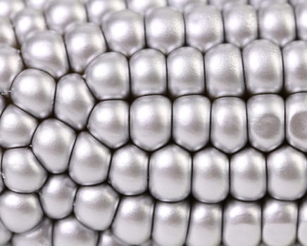 Background of silver indian corn. Close up. Whole background.