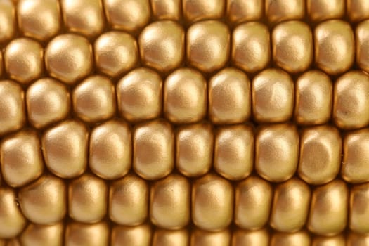 Background of golden indian corn. Close up. Whole background.