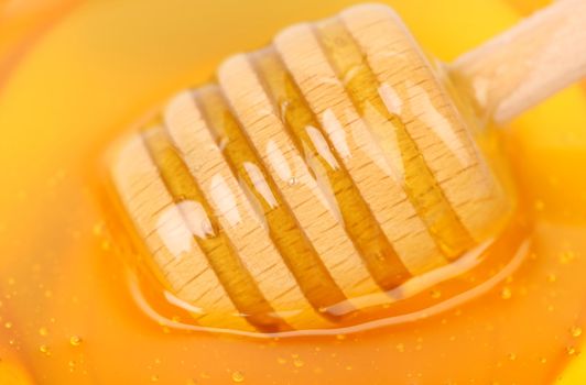 Bee honey with wooden dipper. Honey's dessert - honey stick on golden background.