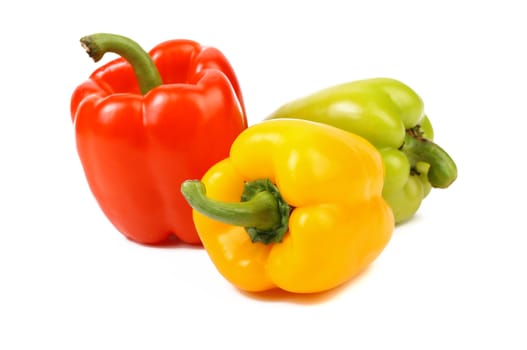Three colored peppers isolated on a white background