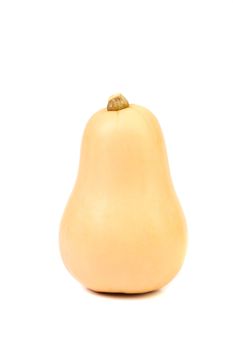 Fresh nice pumpkin isolated on a white background