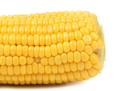 Tail of boiled corn on a white background.