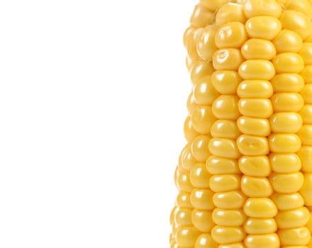 Boiled corn and white background 50/50. Frame.