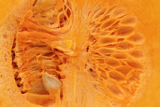 Background of pumpkin slice. Macro. Whole background.