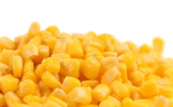 Background of canned corns. 50/50. White background.