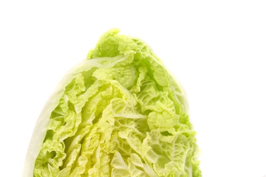 Tasty Chinese cabbage isolated on a white background