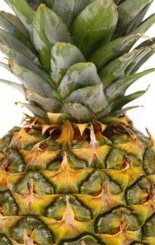 Top of pineapple. Close up. White background.