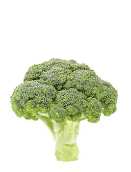 Fresh healthy brocoli isolated on a white background.
