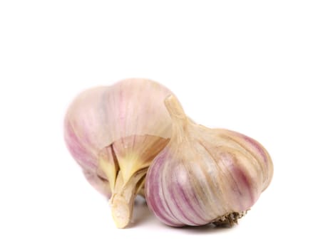 Garlic isolated on a white background. Close up.