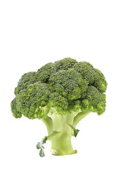 Fresh healthy brocoli isolated on a white background.