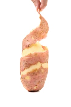 Hand holds potato peel isolated on a white background