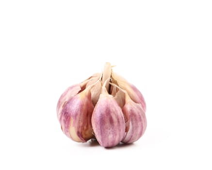 Fresh garlic isolated on a white background.