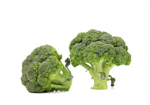 Fresh healthy brocoli isolated on a white background.