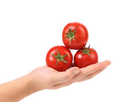 Hand holds three tomatoes cherry. White background.
