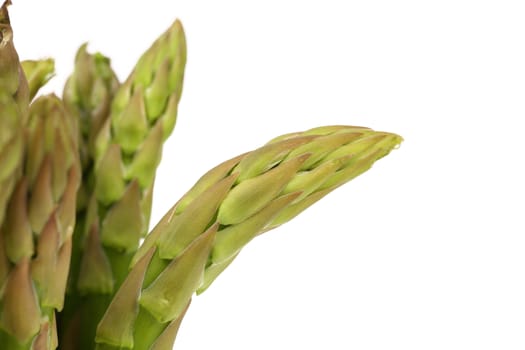 Frame of fresh asparagus spears isolated on a white background